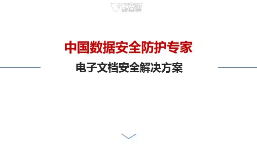 02 CDG亿赛通电子文档安全解决方案 -售前版(1)