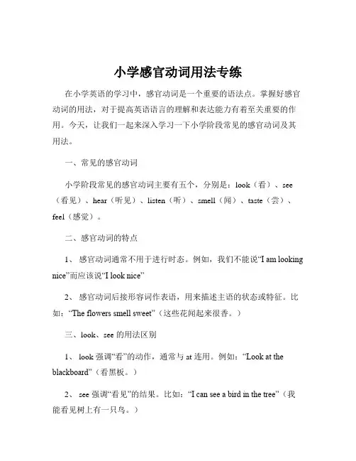 小学感官动词用法专练