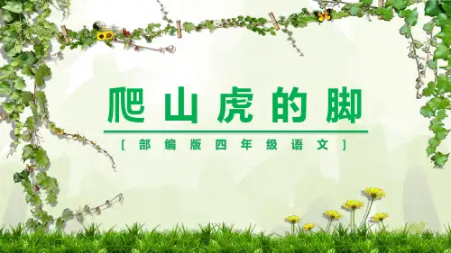 《爬山虎的脚》ppt课件