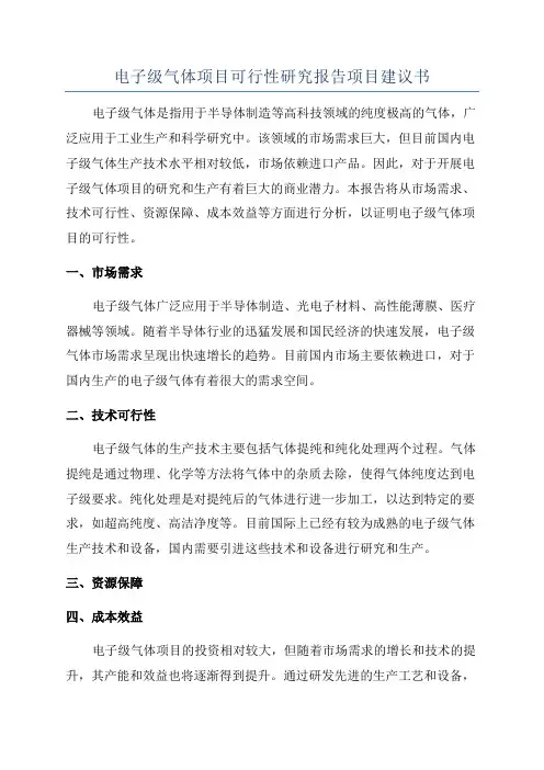 电子级气体项目可行性研究报告项目建议书