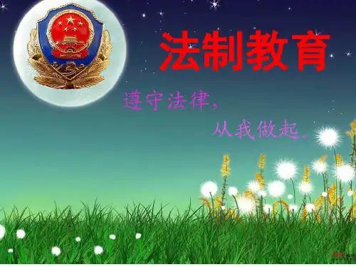 遵守法律从我做起主题班会课件