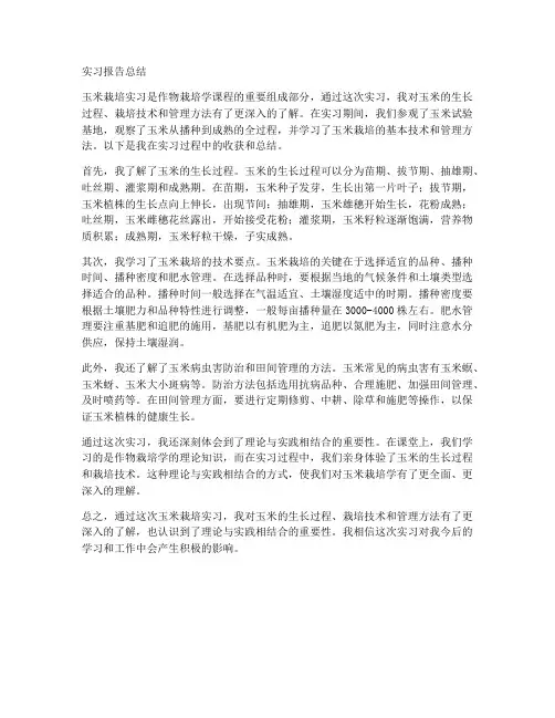作物栽培学玉米实习报告总结