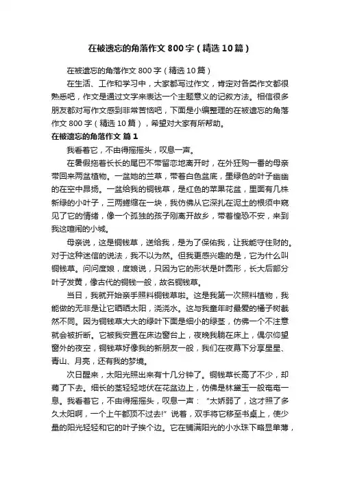 在被遗忘的角落作文800字（精选10篇）