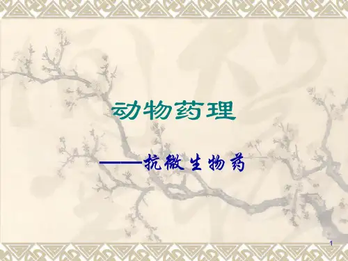 磺胺药和抗菌增效剂ppt课件