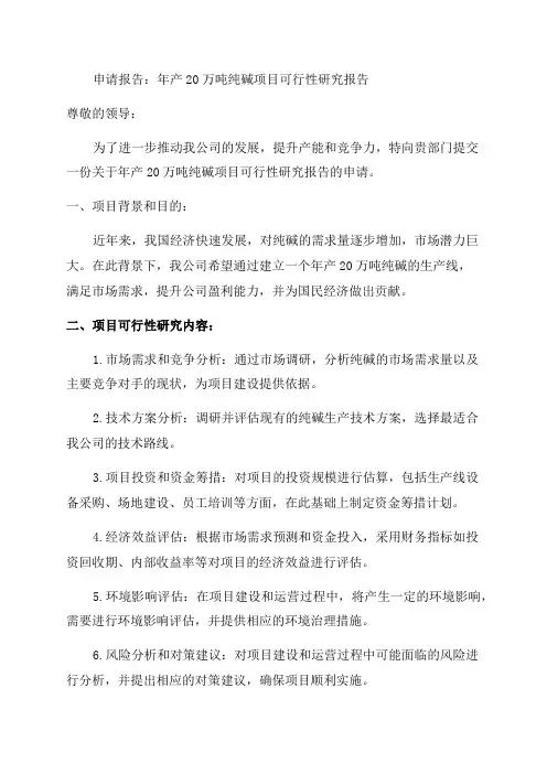 年产20万吨纯碱项目可行性研究报告申请报告