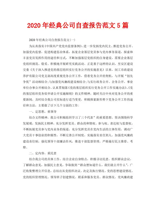 2020年经典公司自查报告范文5篇