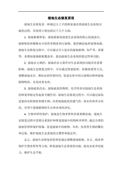 湿地生态修复原理