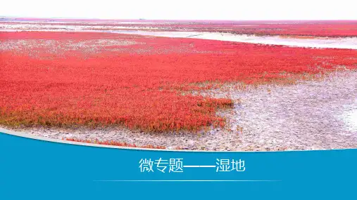 高中地理微专题复习-北方地区东北地区-湿地