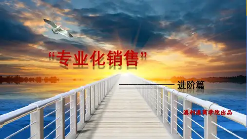专业化销售流程(销售技巧)