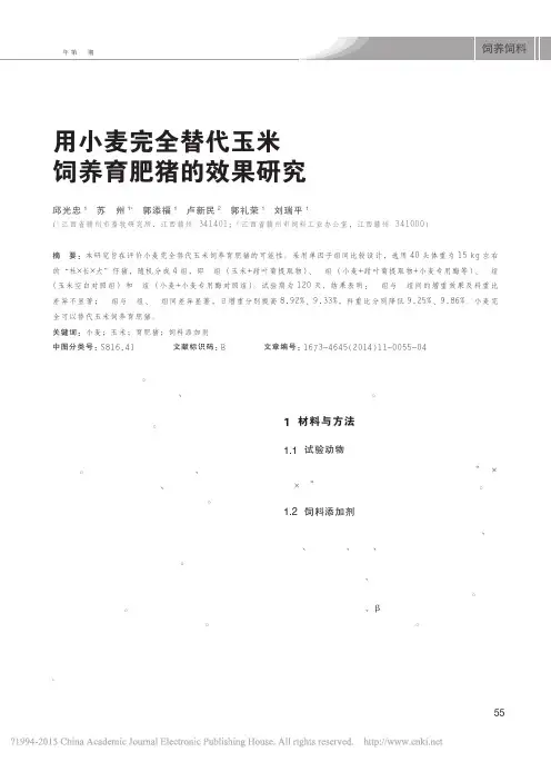 用小麦完全替代玉米饲养育肥猪的效果研究