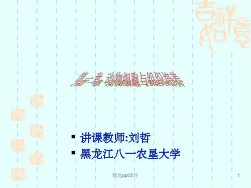 【学习课件】第一章动物细胞与组织培养