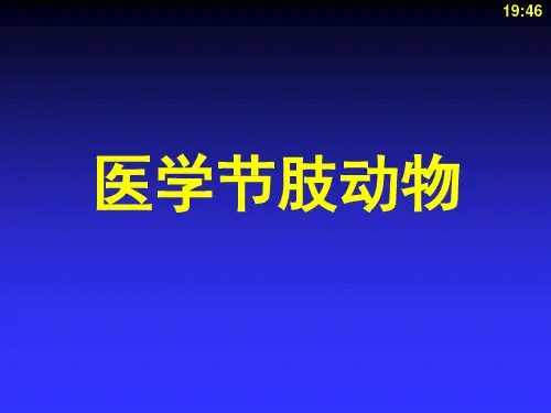 人体寄生虫学-节肢动物