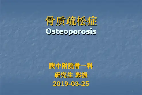 骨质疏松症-PPT课件