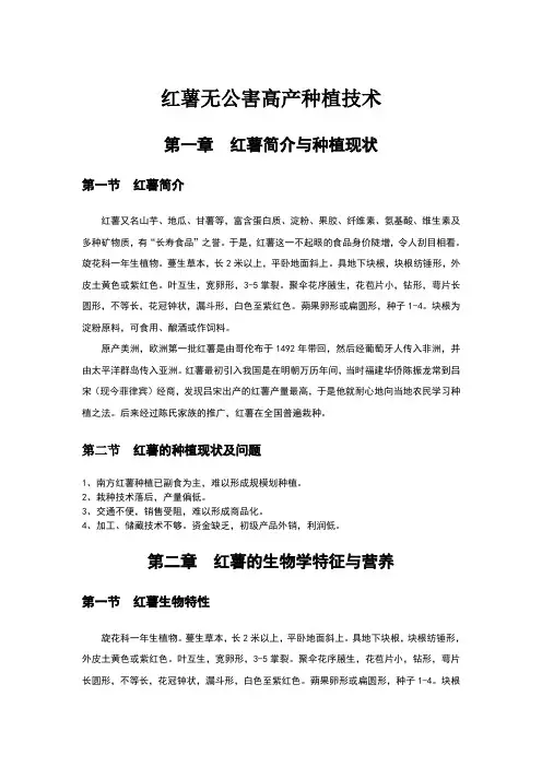 红薯高产种植技术