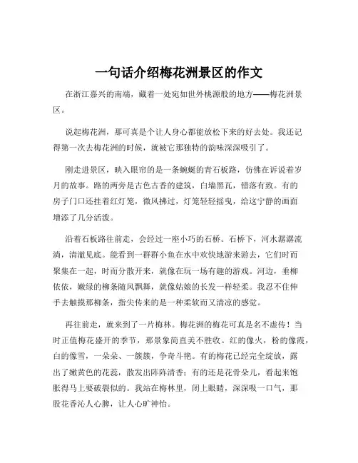 一句话介绍梅花洲景区的作文