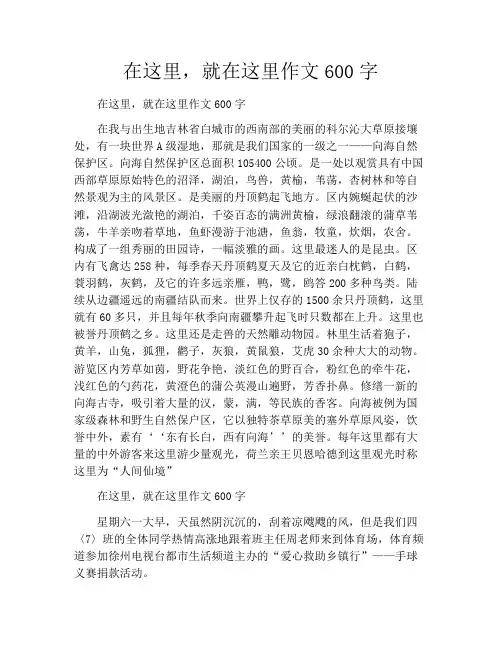 在这里,就在这里作文600字