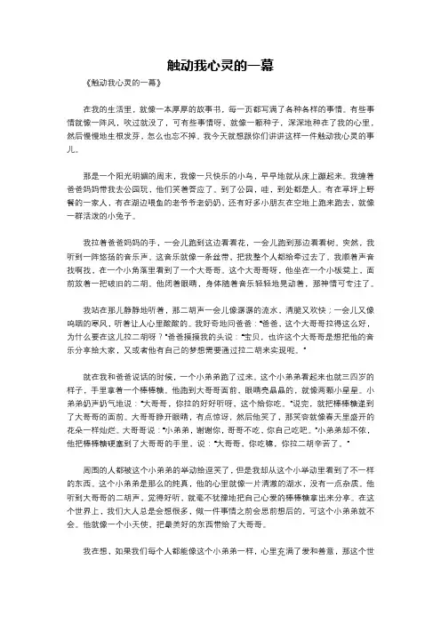 触动我心灵的一幕