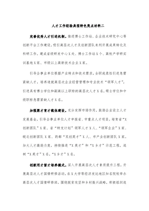 人才工作经验典型特色亮点材料二