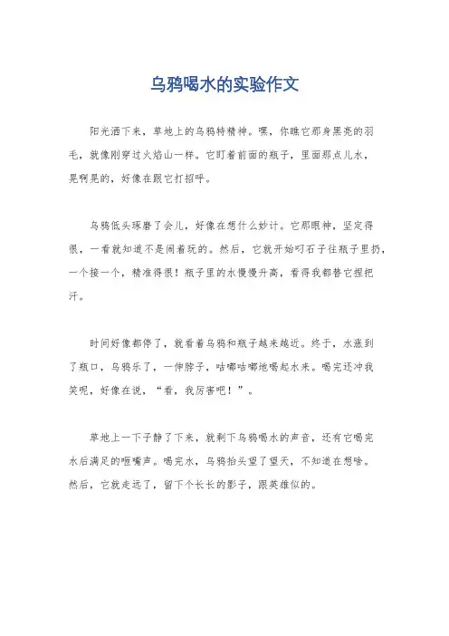 乌鸦喝水的实验作文
