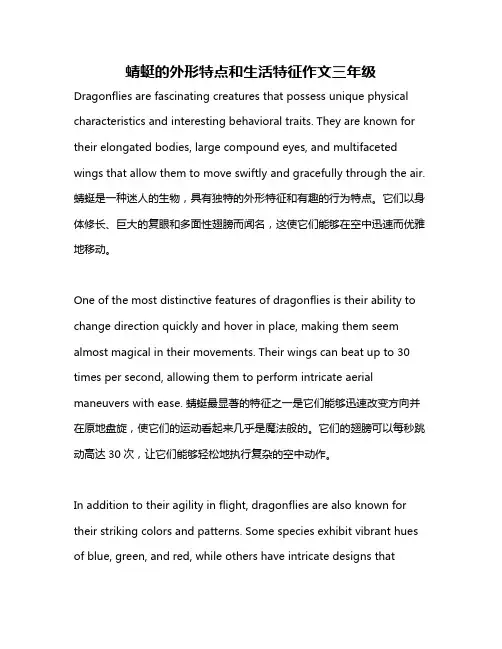 蜻蜓的外形特点和生活特征作文三年级