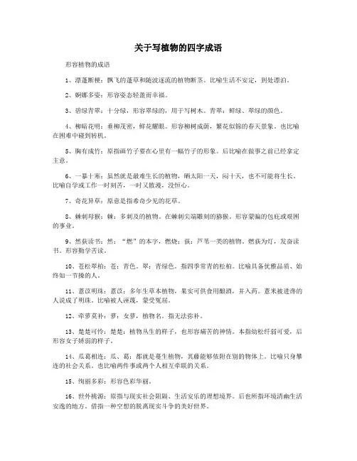 关于写植物的四字成语