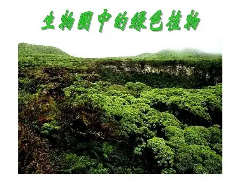 3-3   藻类植物