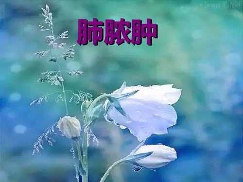 局解肺脓肿病案分析
