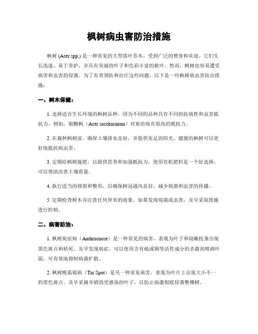 枫树病虫害防治措施