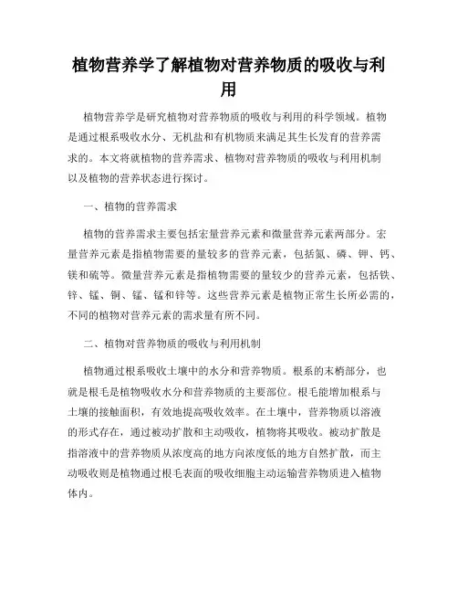 植物营养学了解植物对营养物质的吸收与利用