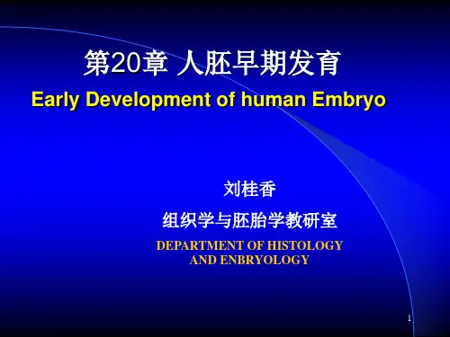胚胎学总论课件