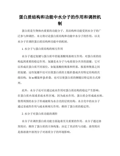 蛋白质结构和功能中水分子的作用和调控机制