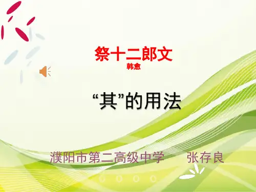 祭十二郎文“其”的用法