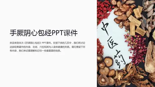 《手厥阴心包经》课件