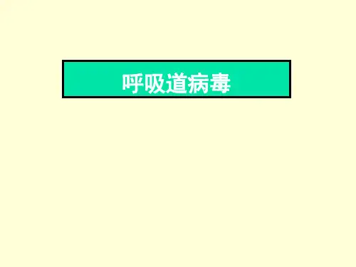 医学微生物学课件 呼吸道病毒