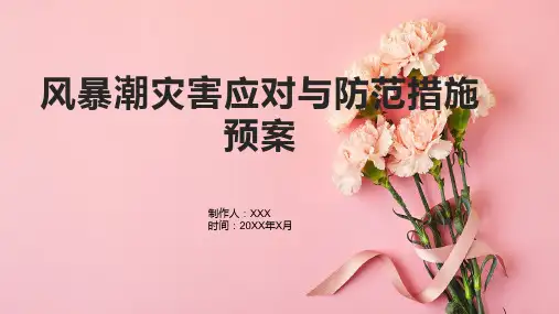 风暴潮灾害应对与防范措施预案
