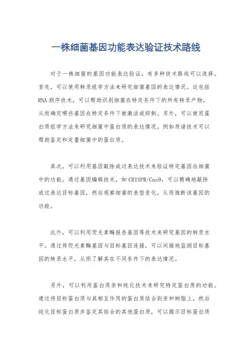 一株细菌基因功能表达验证技术路线