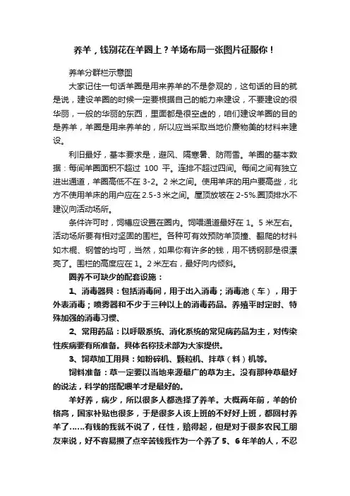 养羊，钱别花在羊圈上？羊场布局一张图片征服你！