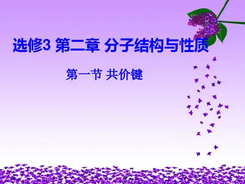 《第一节 共价键》PPT课件(辽宁省市级优课)