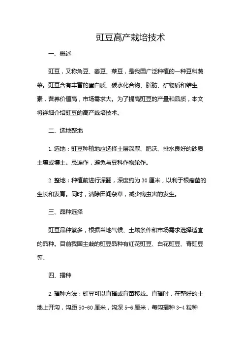 豇豆高产栽培技术