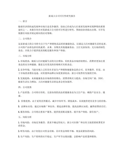 新成立公司可行性研究报告