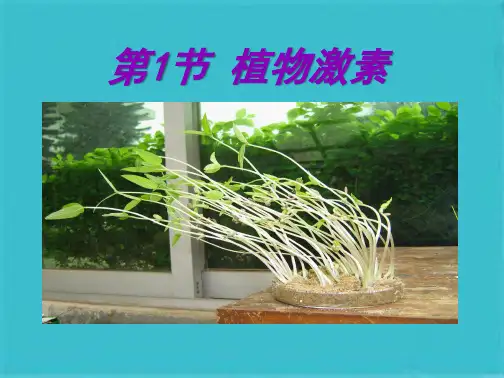 第1章植物生命活动的调节(共27张PPT)