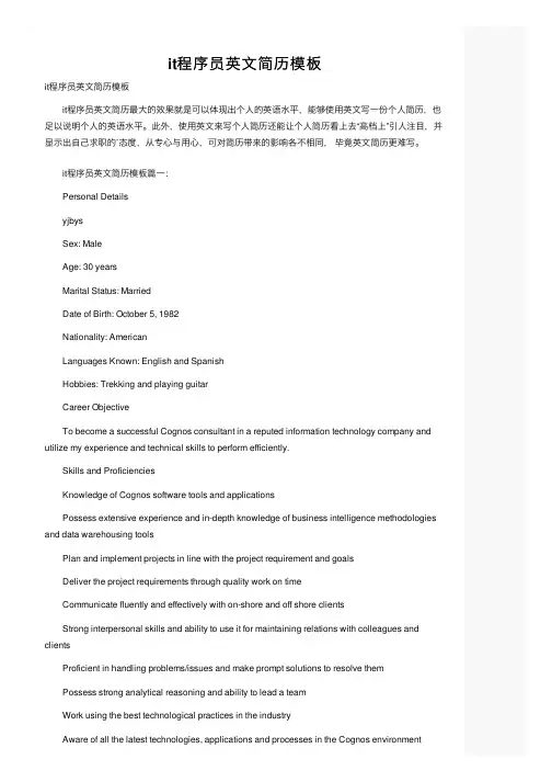 it程序员英文简历模板