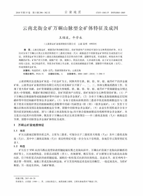 云南北衙金矿万硐山脉型金矿体特征及成因