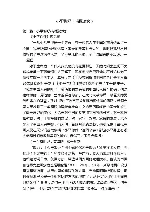 小平你好（毛概论文）