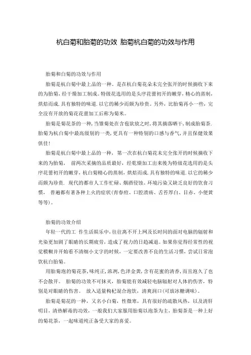 杭白菊和胎菊的功效 胎菊杭白菊的功效与作用