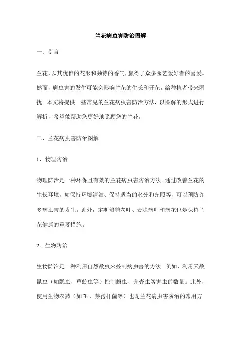 兰花病虫害防治图解