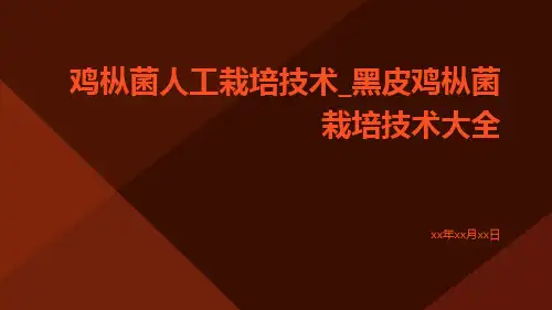鸡枞菌人工栽培技术_黑皮鸡枞菌栽培技术大全