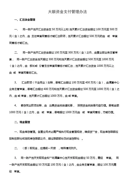 大额资金支付管理办法
