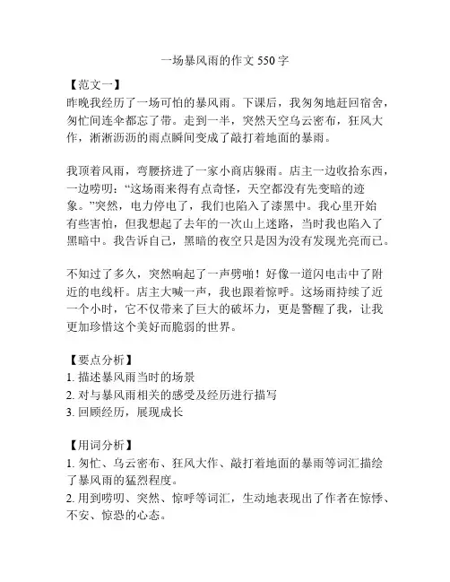 一场暴风雨的作文550字