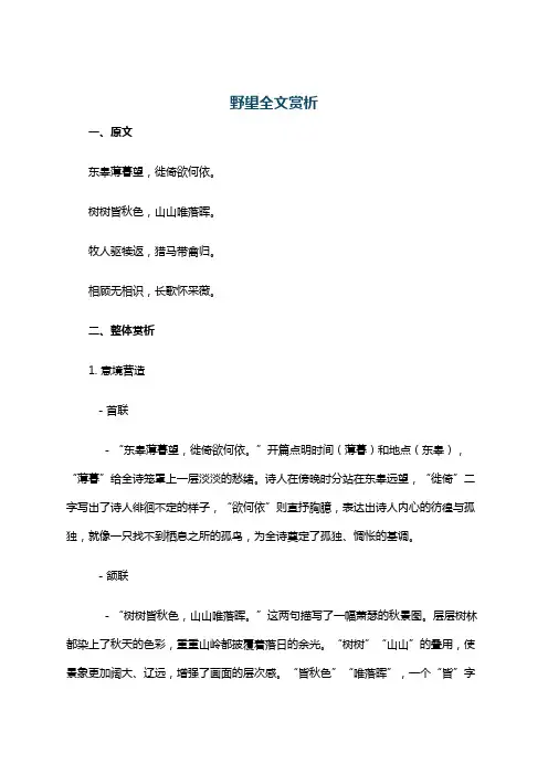 野望全文赏析